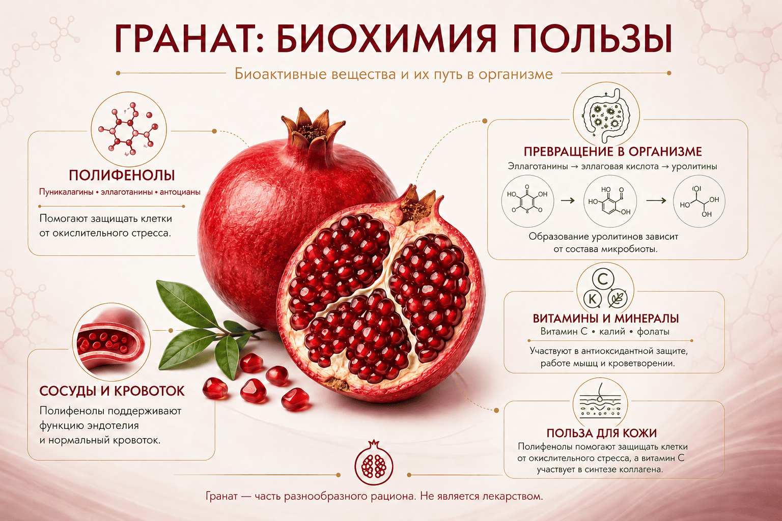 Pomegranat